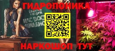 стафф Бийск