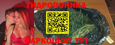 стафф Бийск