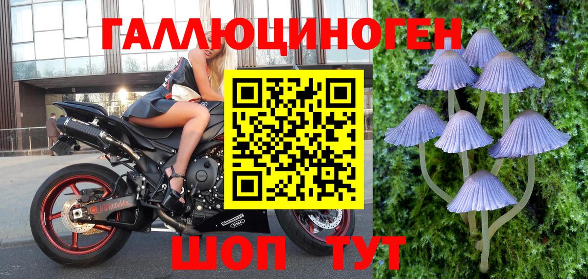 Псилоцибиновые грибы Magic Shrooms Иваново